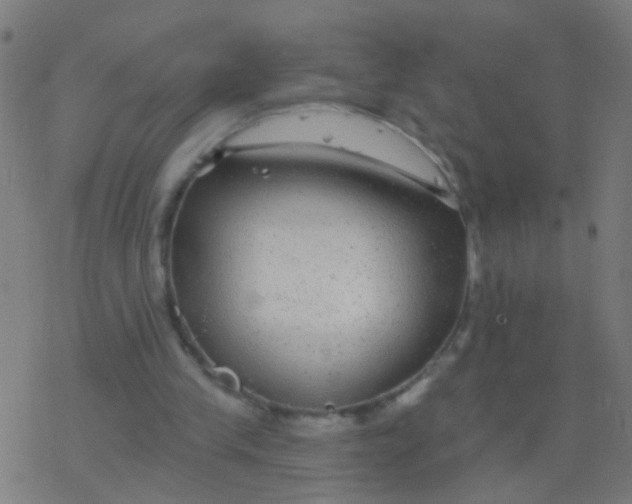 X0000077370245200611101711