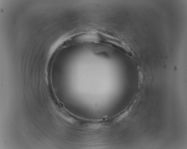 X0000077370246200611101711