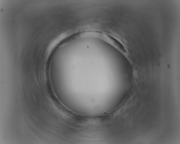 X0000077370248200611101711