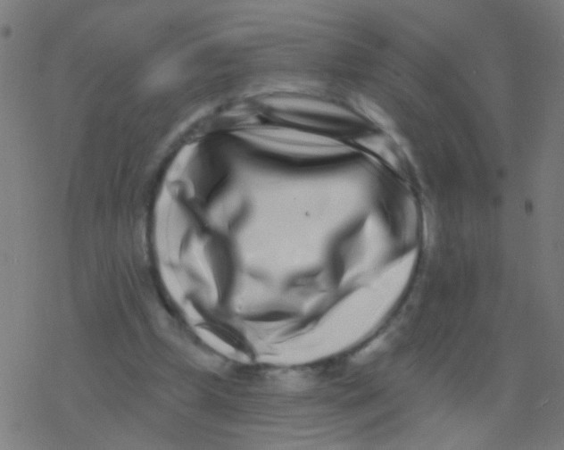 X0000077370249200611101711