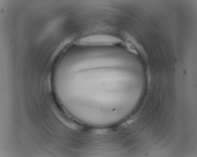 X0000077370250200611101711