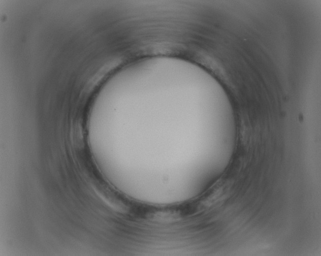 X0000077370251200611101711