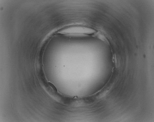 X0000077370252200611101711