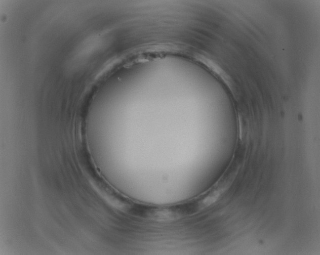 X0000077370253200611101711