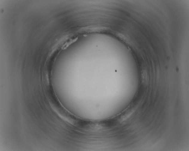 X0000077370254200611101711