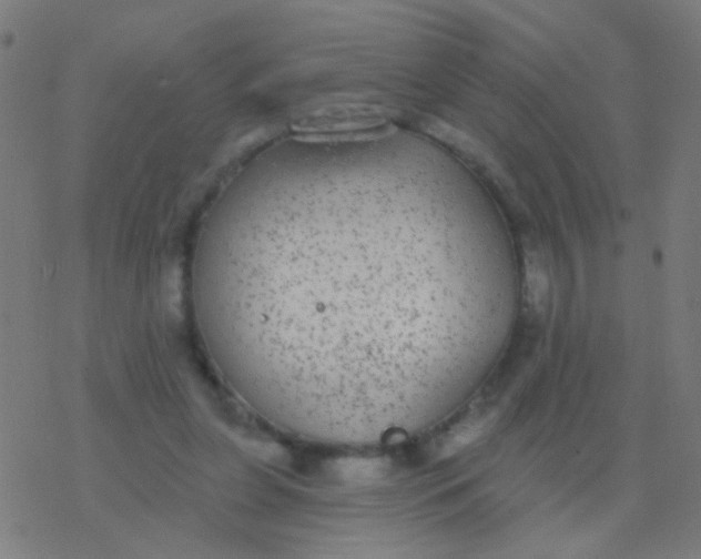 X0000077370255200611101711