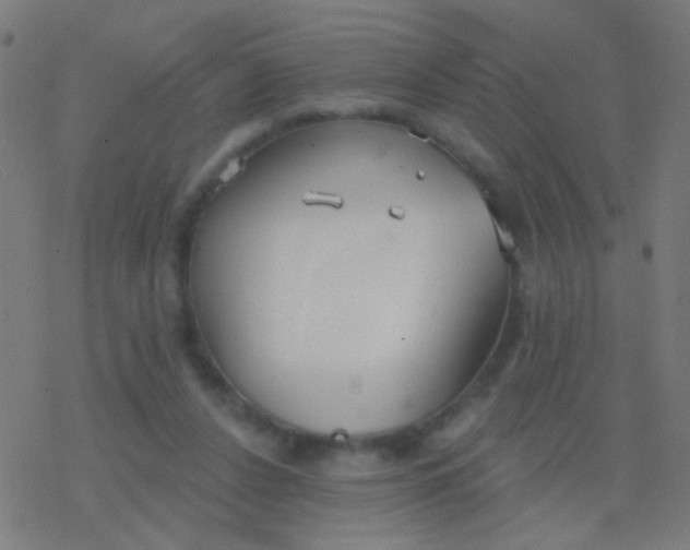 X0000077370256200611101711