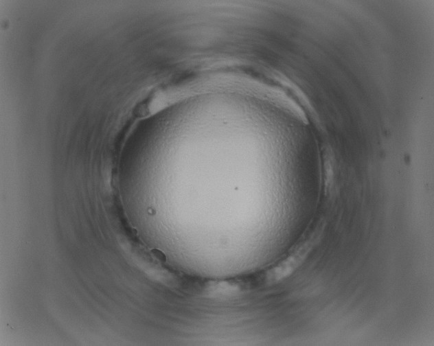 X0000077370257200611101711