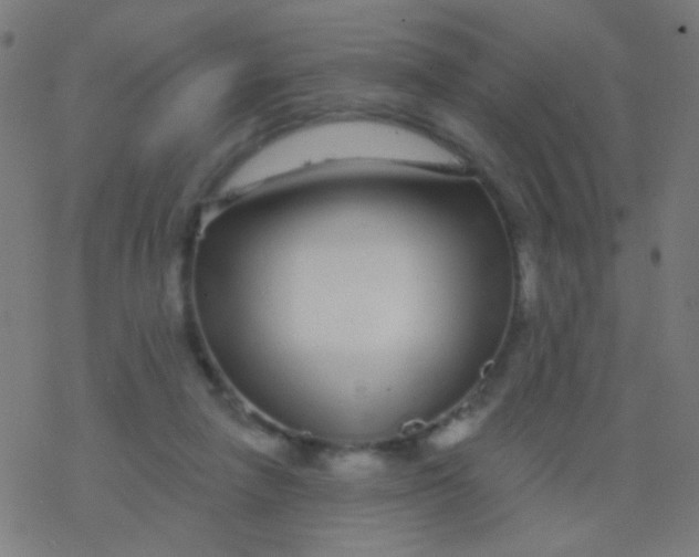 X0000077370258200611101711