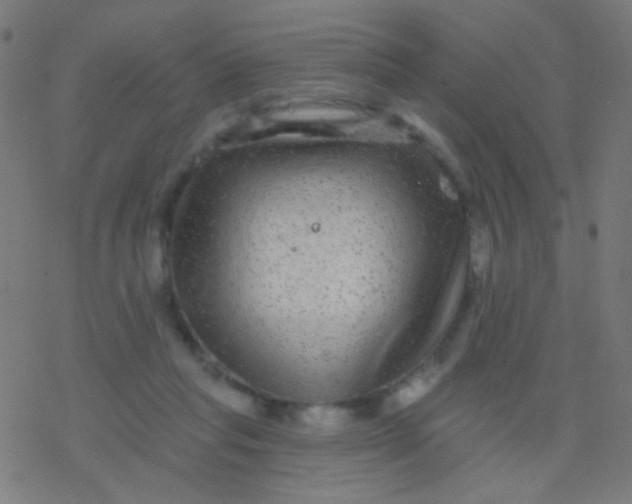 X0000077370261200611101711