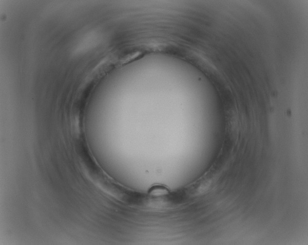 X0000077370262200611101711