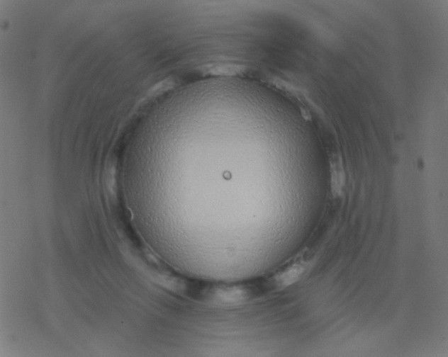 X0000077370263200611101711