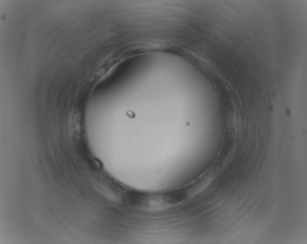 X0000077370264200611101711