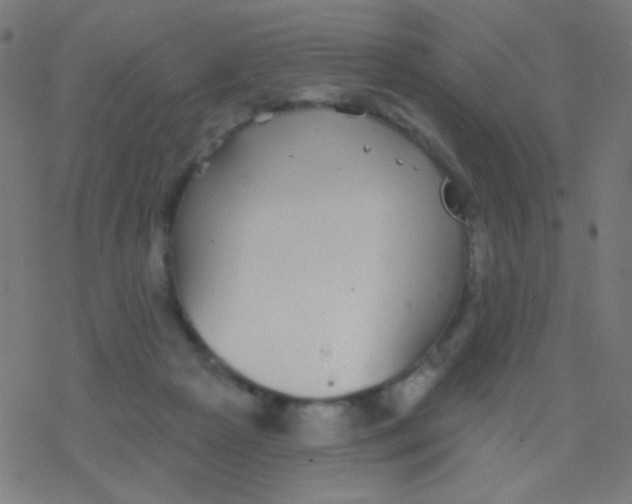 X0000077370265200611101711