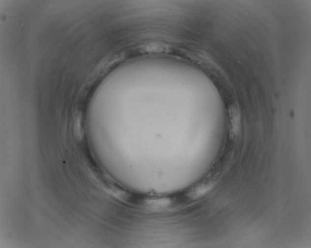 X0000077370266200611101711