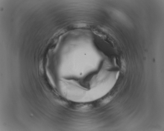 X0000077370267200611101711