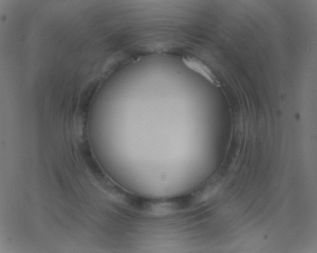 X0000077370268200611101711