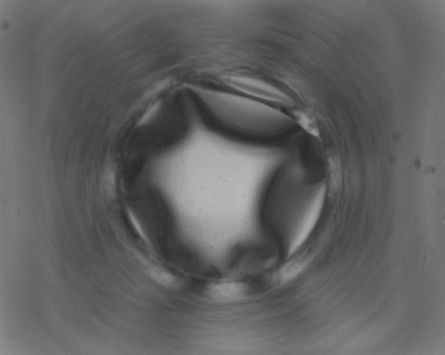 X0000077370269200611101712