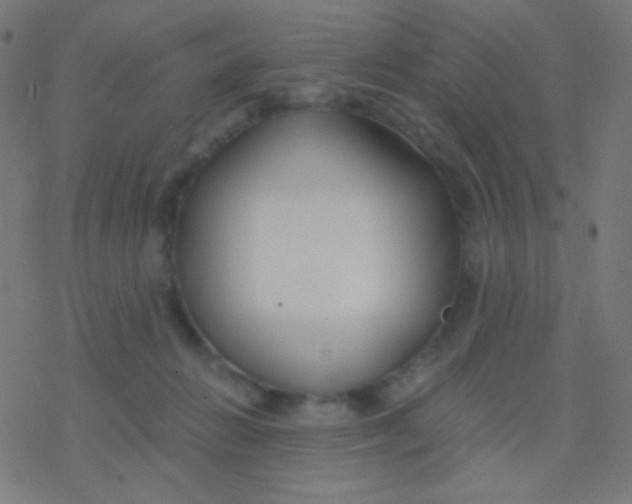 X0000077370270200611101712