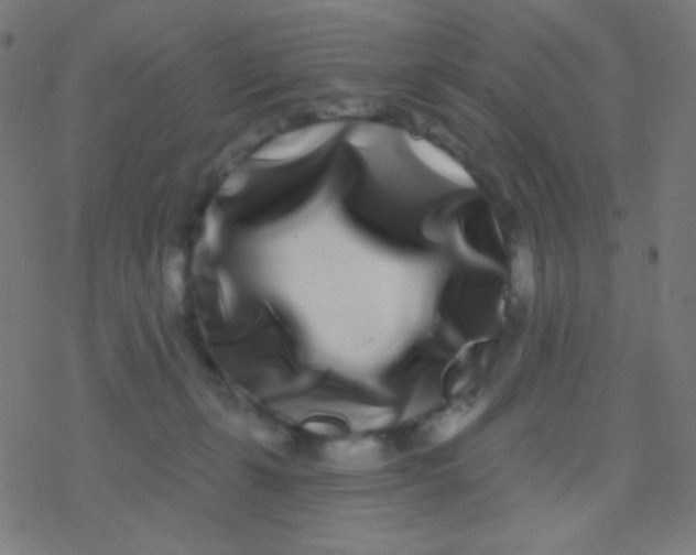 X0000077370271200611101712