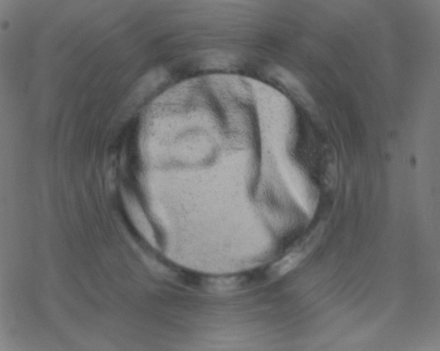 X0000077370273200611101712