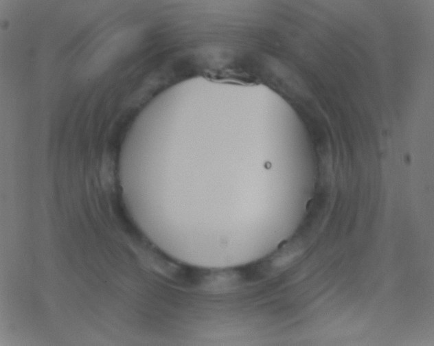 X0000077370274200611101712