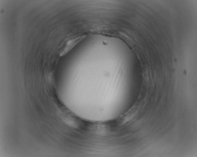 X0000077370276200611101712