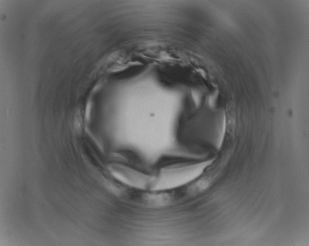 X0000077370277200611101712