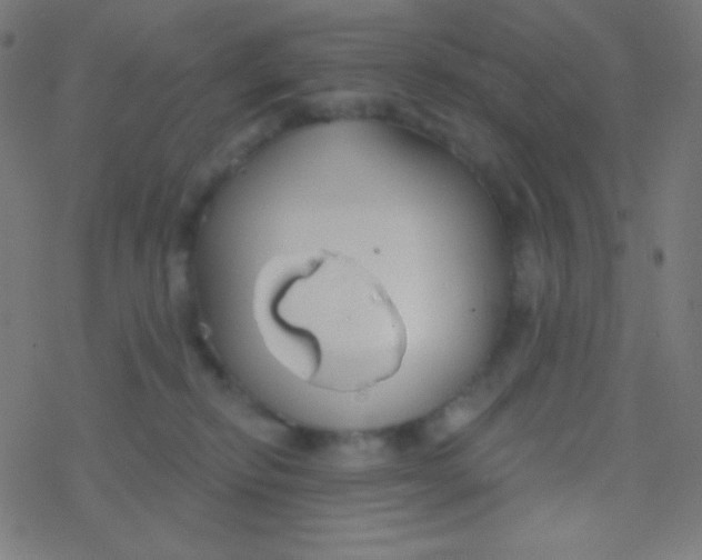 X0000077370278200611101712