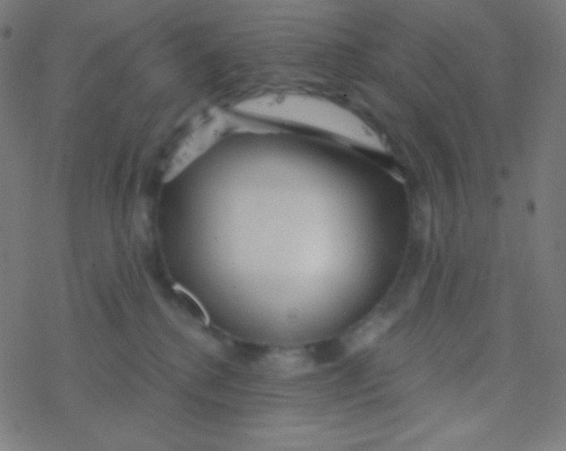 X0000077370280200611101712