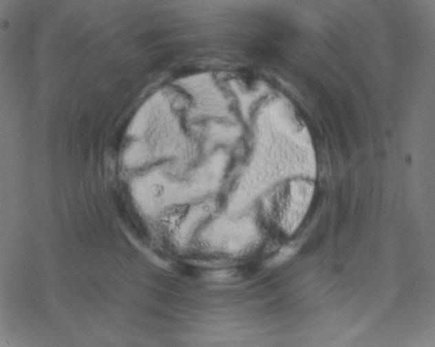 X0000077370281200611101712