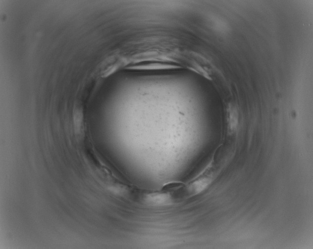 X0000077370283200611101712