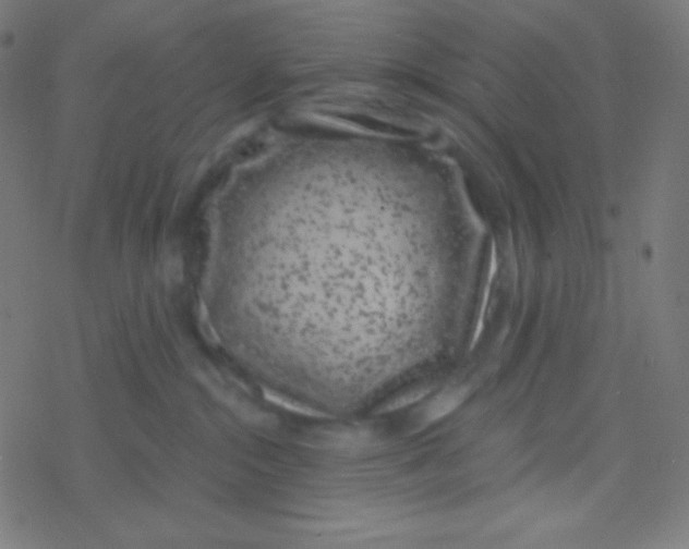 X0000077370284200611101712