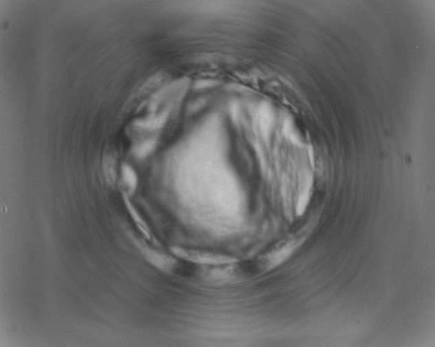 X0000077370285200611101712