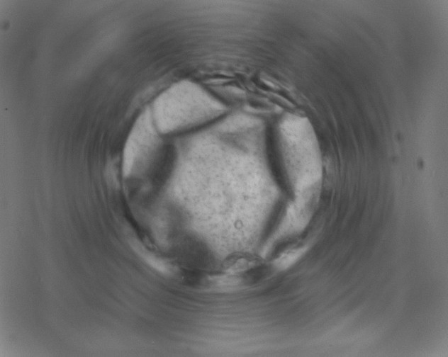 X0000077370286200611101712