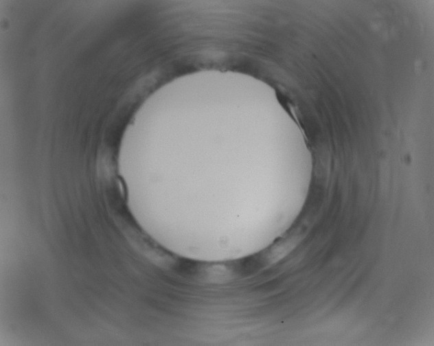 X0000077370287200611101712