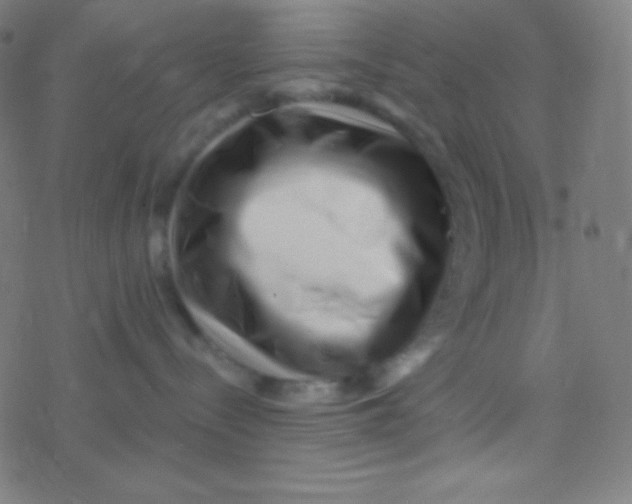 X0000077370288200611101712