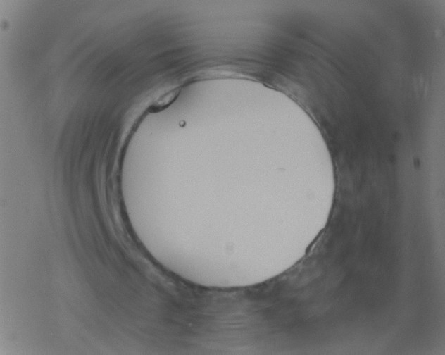 X0000077370289200611101711