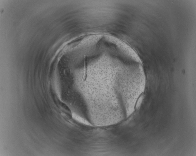 X0000077370290200611101711