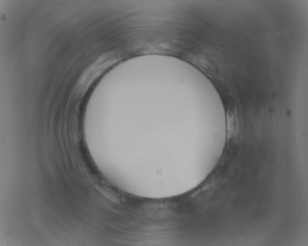 X0000077370291200611101711