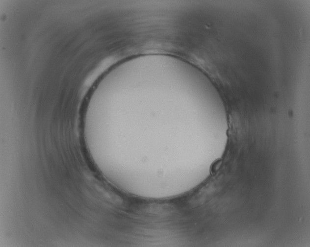 X0000077370292200611101711