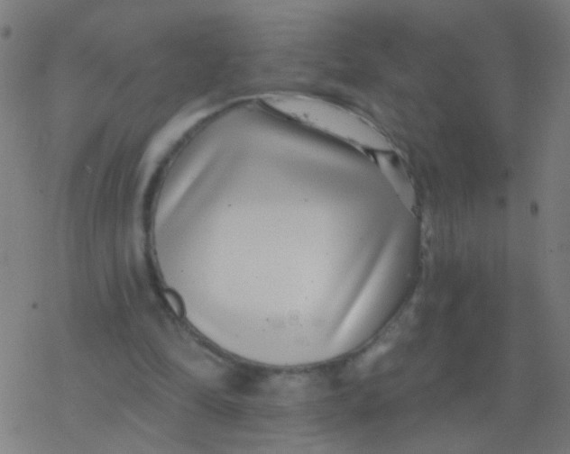 X0000077370294200611101711