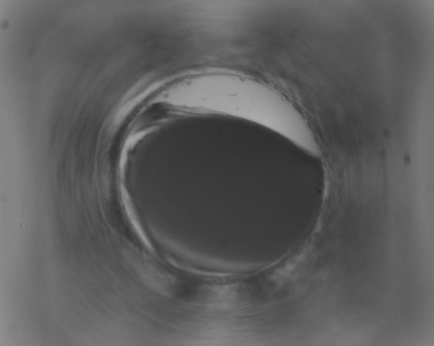 X0000077370295200611101711