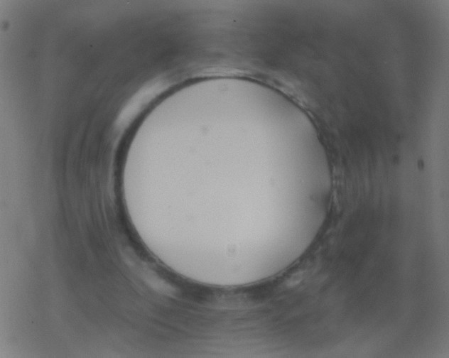 X0000077370296200611101711