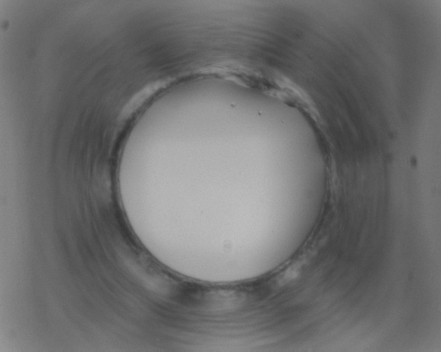 X0000077370298200611101711