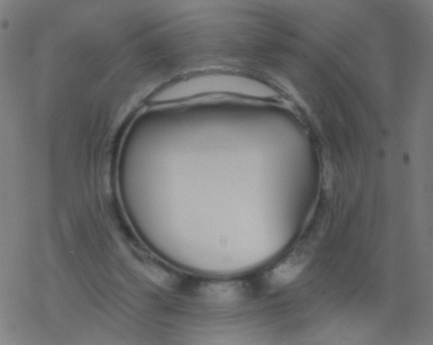 X0000077370299200611101711