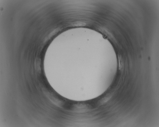 X0000077370300200611101711