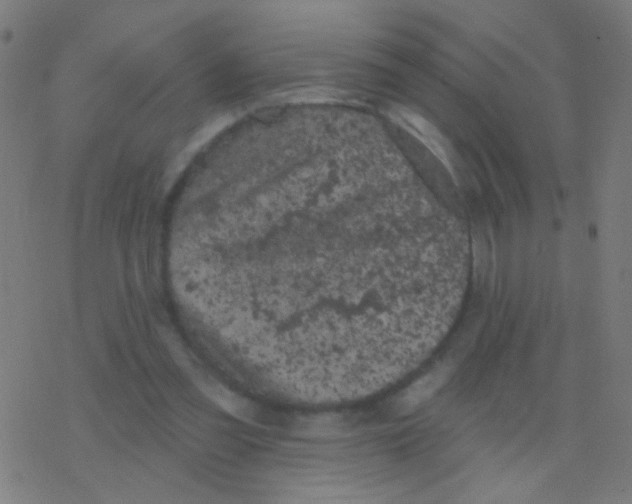 X0000077370301200611101711