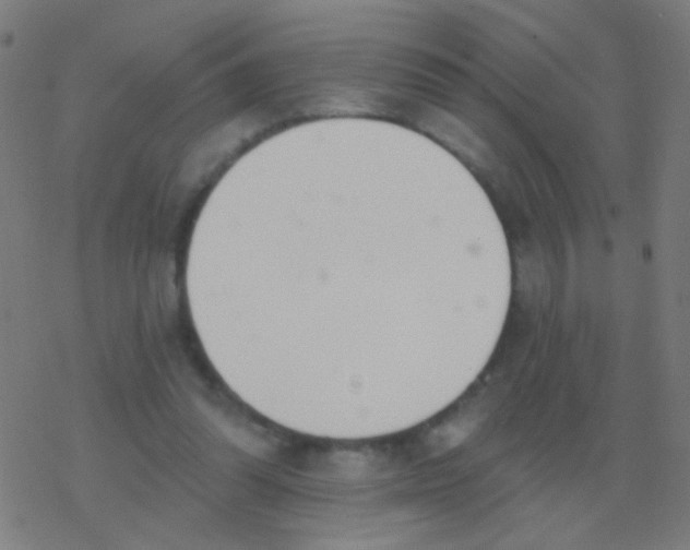 X0000077370302200611101711