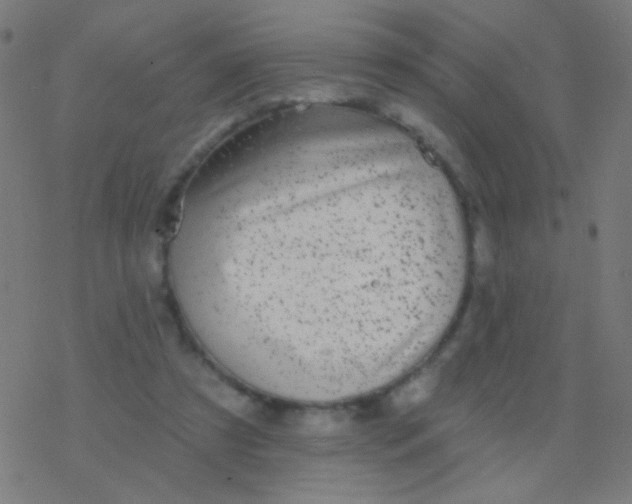 X0000077370305200611101711